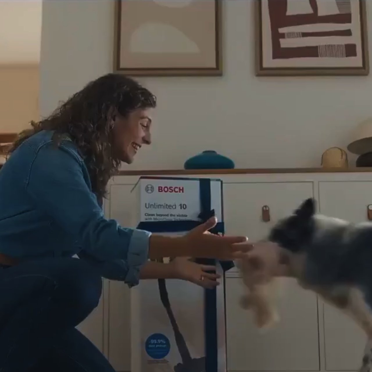 Bosch'un reklam filmine inceleme