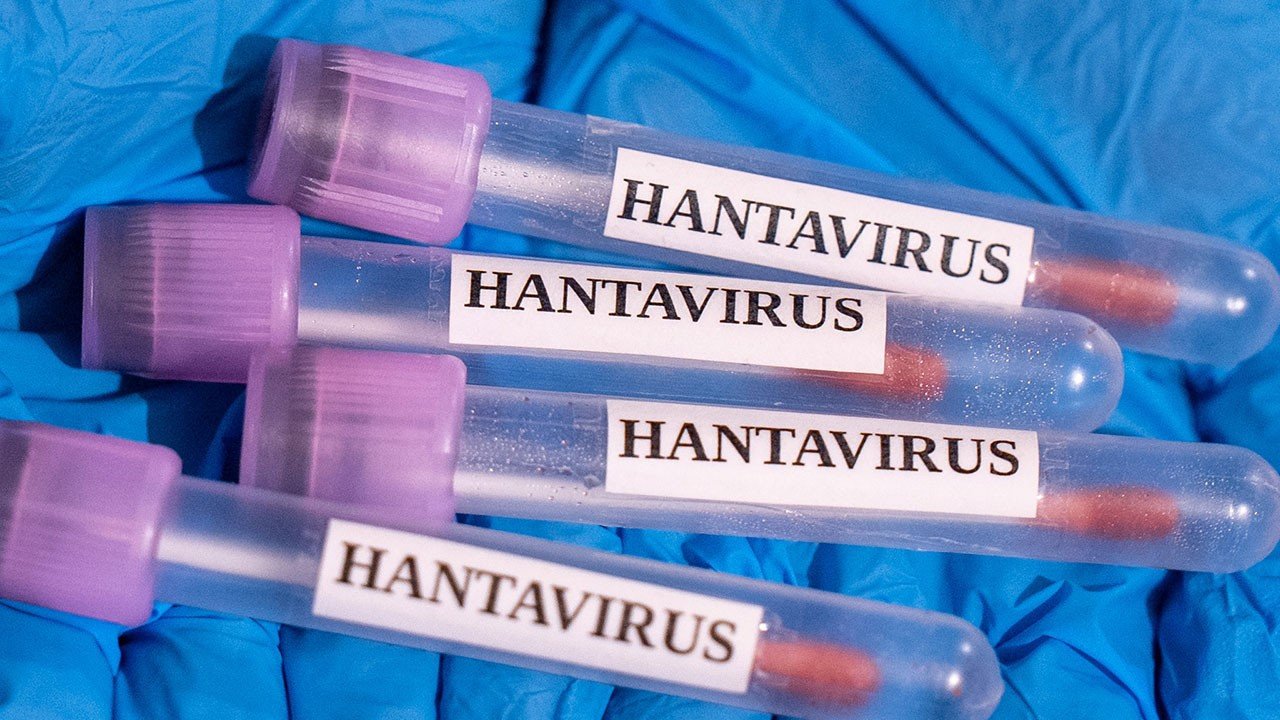 Sağlık Bakanlığı'ndan Hantavirüs açıklaması