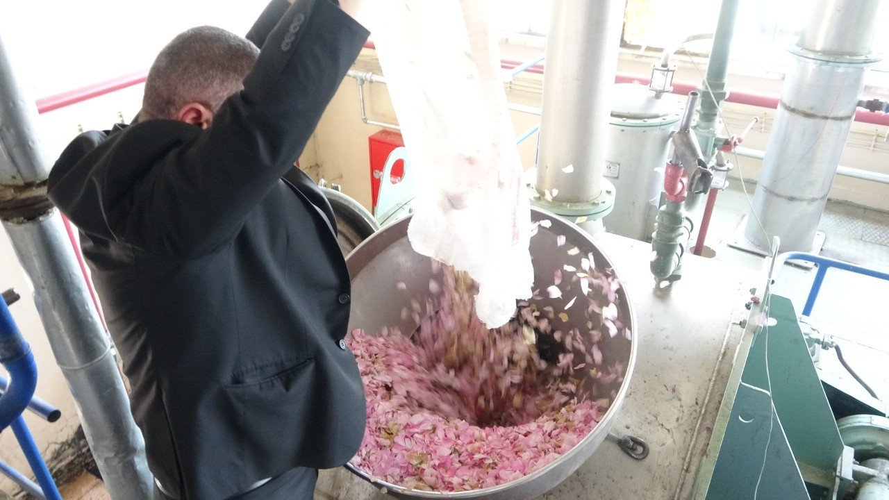 4 ton gülden elde ediliyor, kilosu 12 bin Euro'ya satılıyor