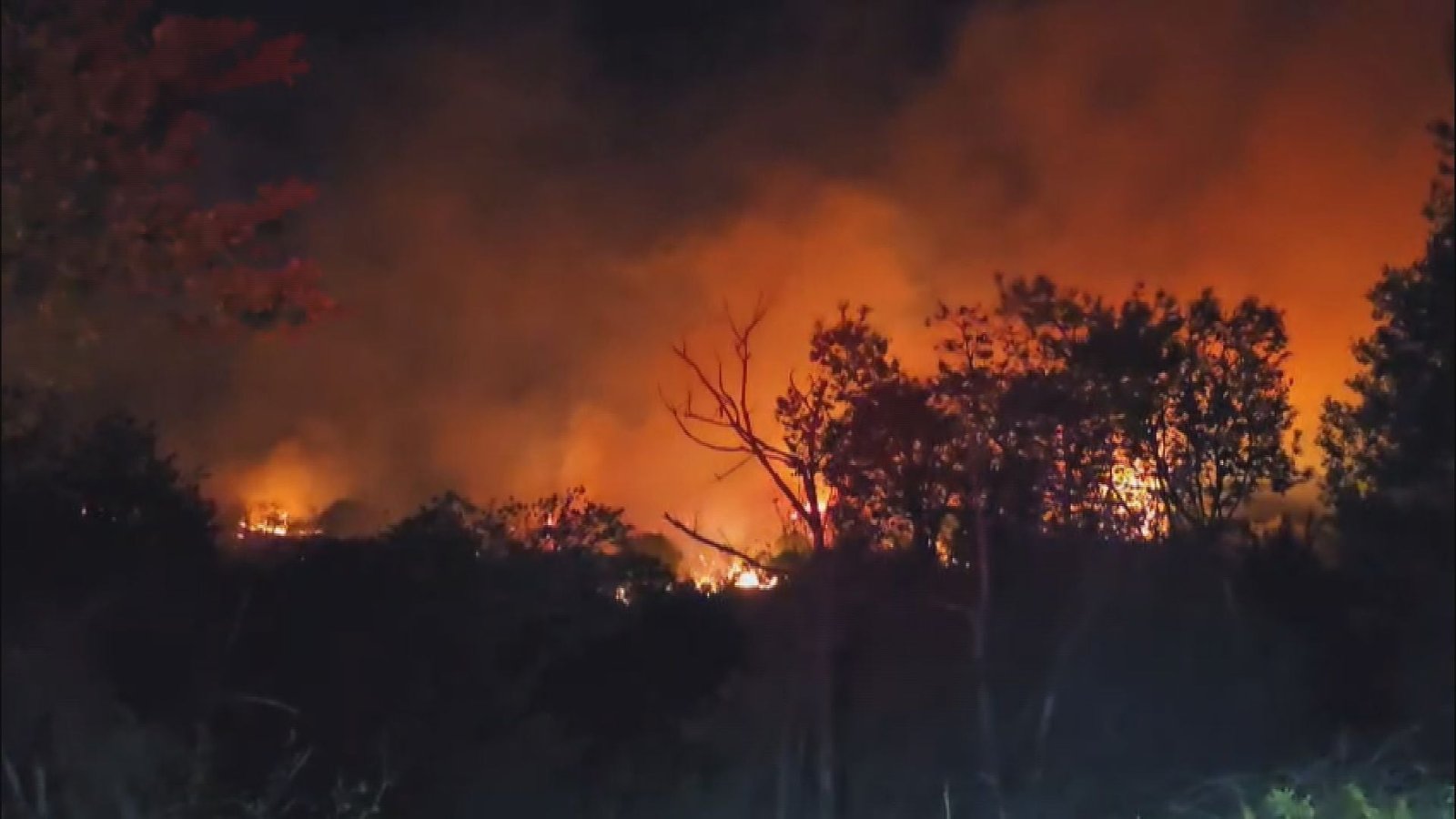 İstanbul'da Çatalca ve Beykoz'da orman yangını