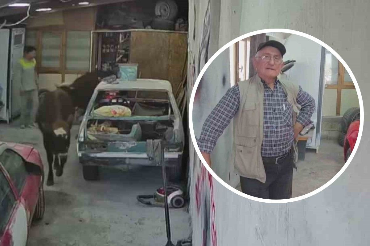 Danalar oto tamirciyi bastı, görgü tanığı: "Nazikçe geldiler, nazikçe gittiler"