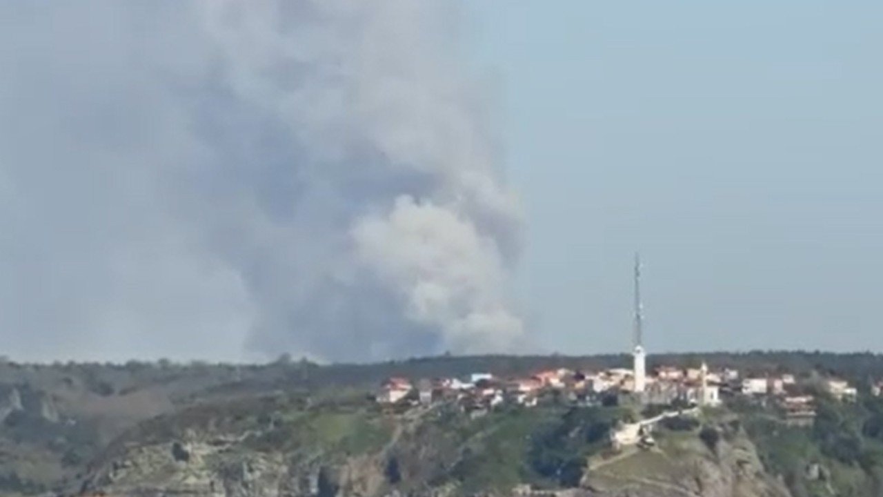 Beykoz'da orman yangını! Havadan ve karadan müdahale ediliyor