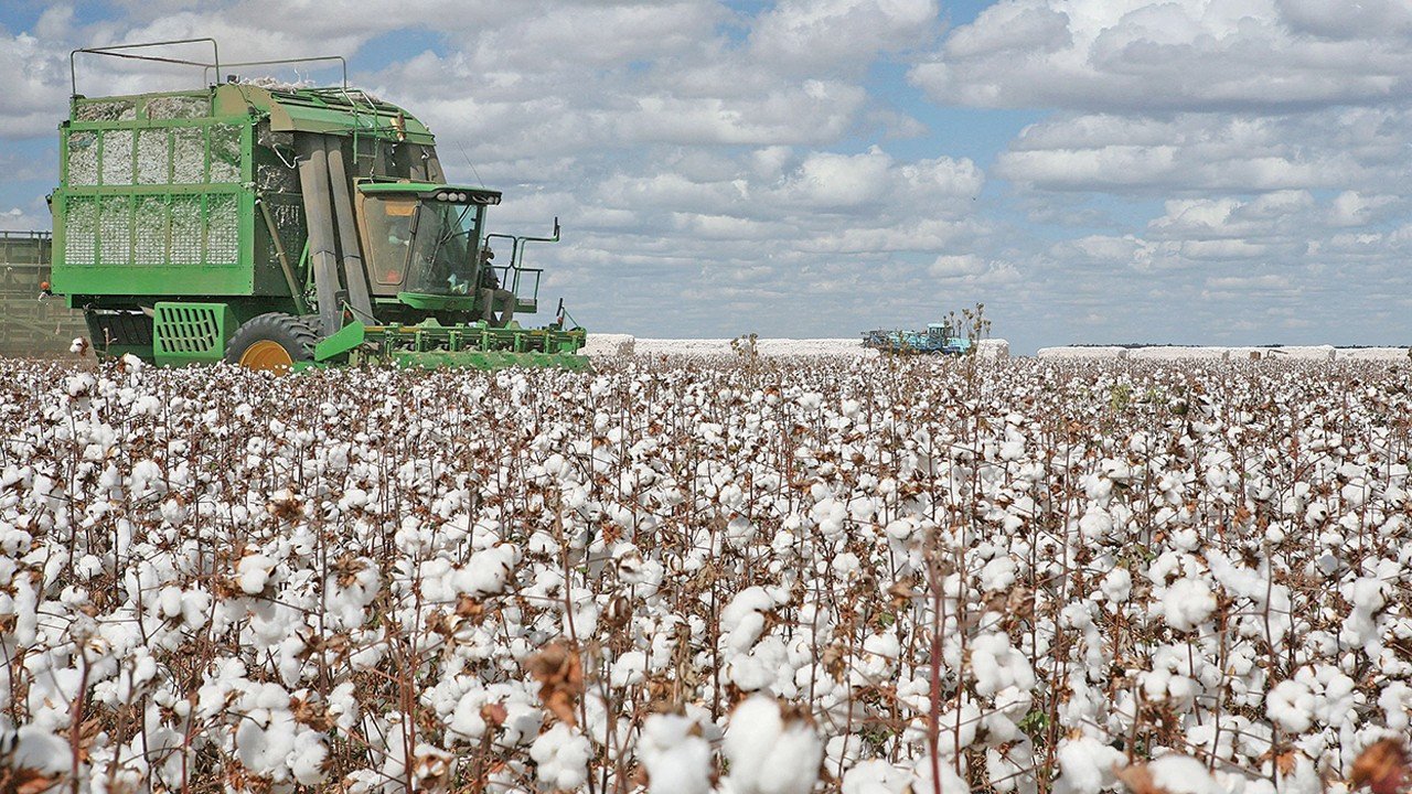 Tekstil sektörü "Hürmüz gerilimi" nedeniyle sentetik yerine doğal pamuğa yöneldi