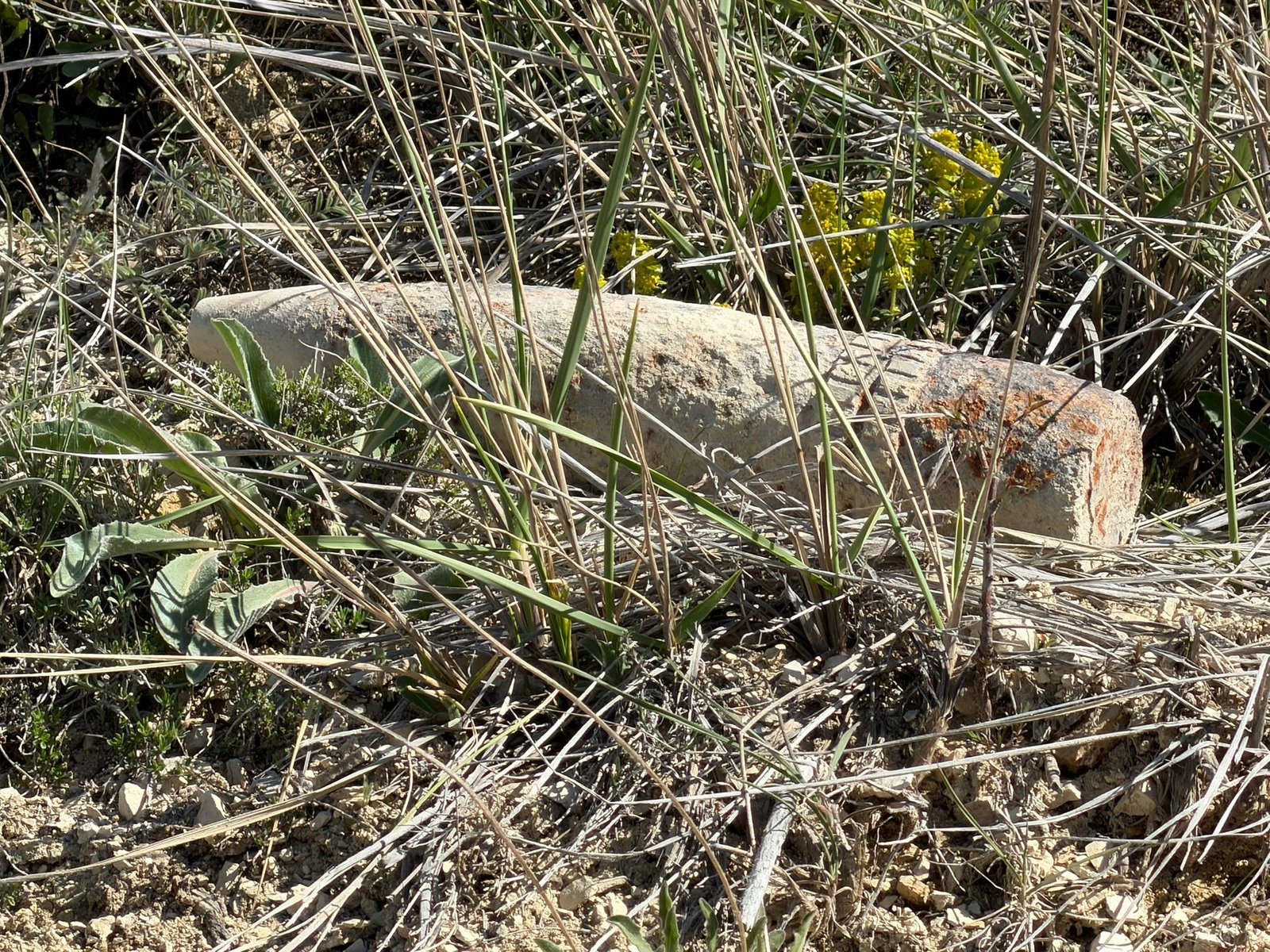 Mantar toplarken buldular. Ankara’da patlamamış top mermisi bulundu