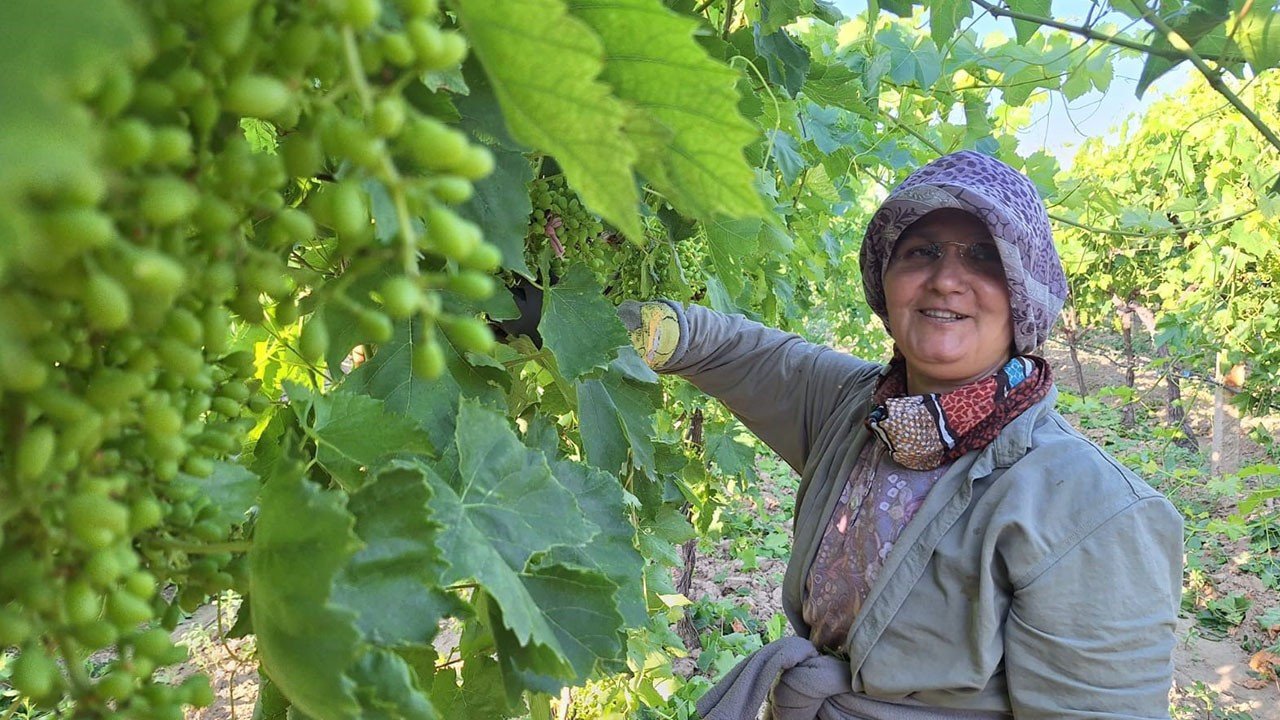 Yevmiye 1.425 liraya çıktı, üretici imeceye yöneldi