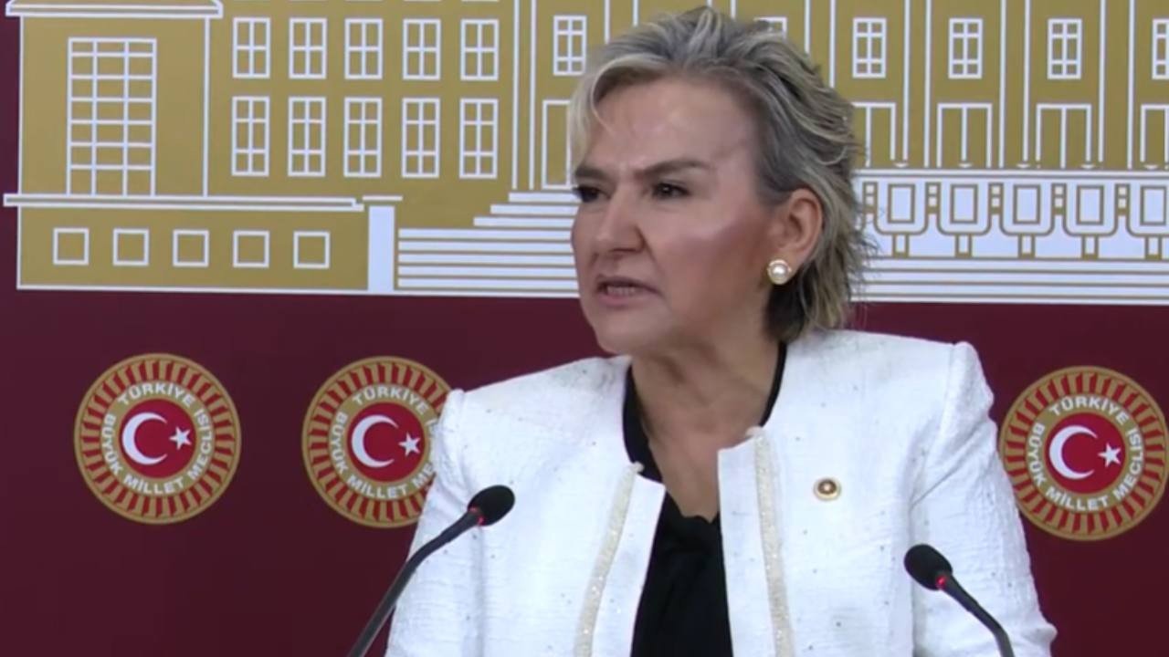 Son dakika... CHP İstanbul Milletvekili Nimet Özdemir'den istifa kararı