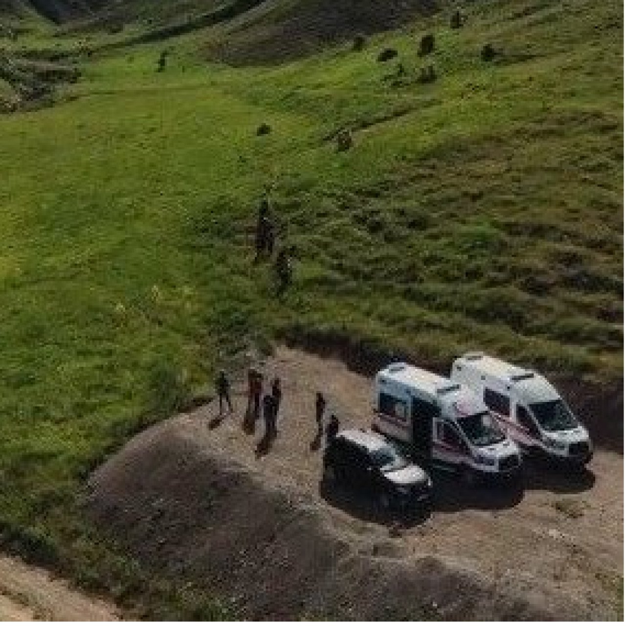 Ayı saldırısında 3 yaralı