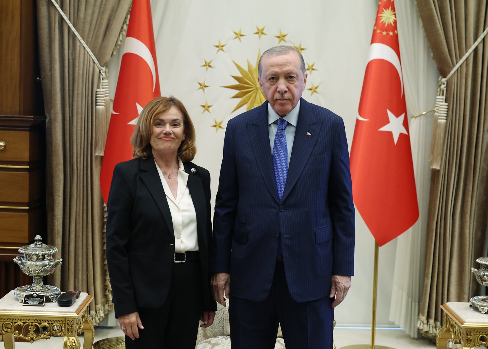 Cumhurbaşkanı Erdoğan, İspanya Anayasa Mahkemesi Başkanvekili Huertas ile bir araya geldi