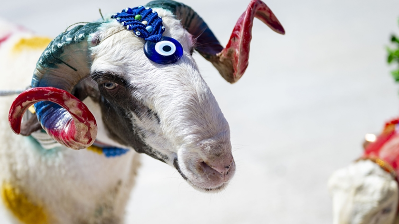 Kurban Bayramı tarihleri: Bu yıl Kurban Bayramı ne zaman, arefe günü hangi güne denk geliyor?