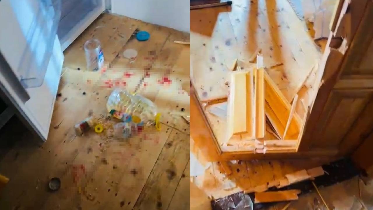 Köyü ayılar bastı, ortalık savaş alanına döndü