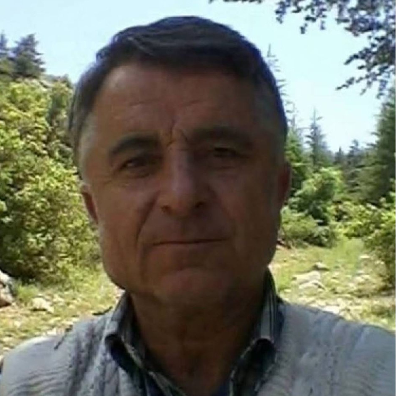 Kestiği ağacın altında can verdi
