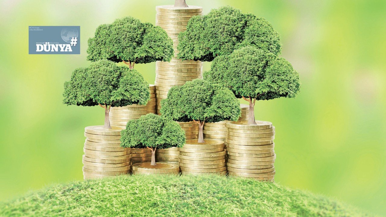 Sürdürülebilir bir kalkınma: Ekoloji olmadan ekonomi olur mu?
