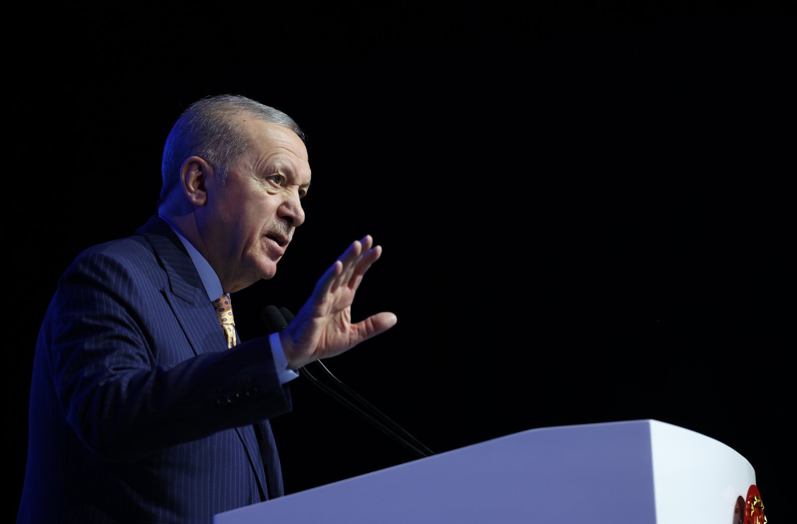 Cumhurbaşkanı Erdoğan: İsrail, insanlığın ortak değerlerini ayaklar altına almaktadır