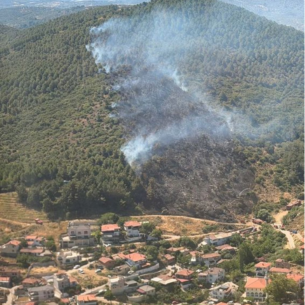 Balıkesir'de orman yangını!